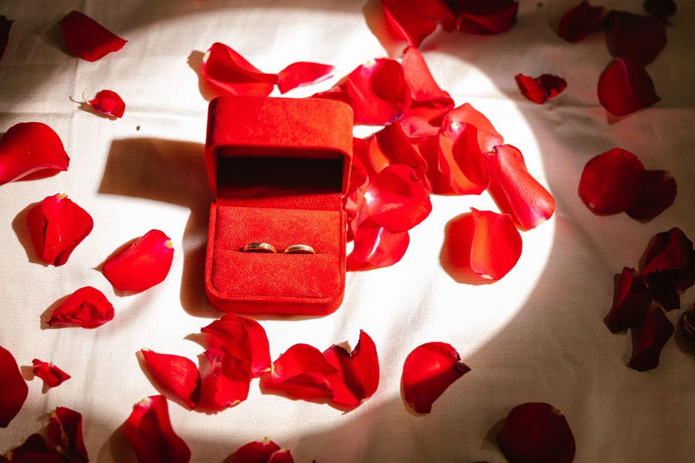 Twee gouden ringen in een rood fluwelen doosje, omringd door rozenblaadjes